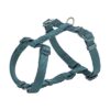 Hondentuig Premium H-Tuig Petrol 75-120X2,5 Cm