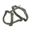 Hondentuig Premium H-Tuig Olijfgroen 75-120X2,5 Cm