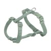 Hondentuig Premium H-Tuig Salie 75-120X2,5 Cm