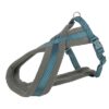 Hondentuig Premium Touring Petrol 70-110X2,5 Cm