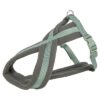 Hondentuig Premium Touring Salie 70-110X2,5 Cm