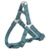 Hondentuig Premium One Touch Petrol 65-80X2,5 Cm