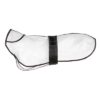 Regenjas Tarbes Transparant / Zwarte Stroken 42 Cm