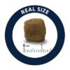Veterinary Diet Dog Articular Gewrichten Minder Calorieën 3 Kg