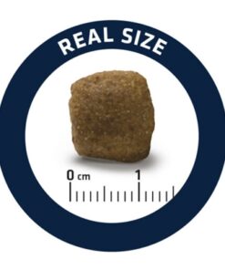 Veterinary Diet Dog Articular Gewrichten Minder Calorieën 3 Kg