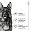 Canin Maxi Adult 15 Kg
