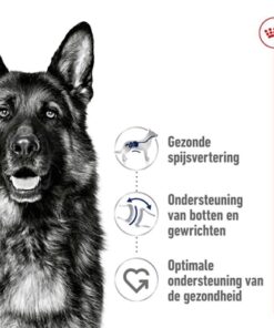 Canin Maxi Adult 15 Kg