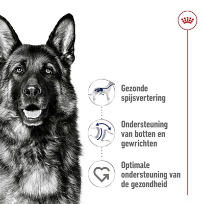 Canin Maxi Adult 15 Kg