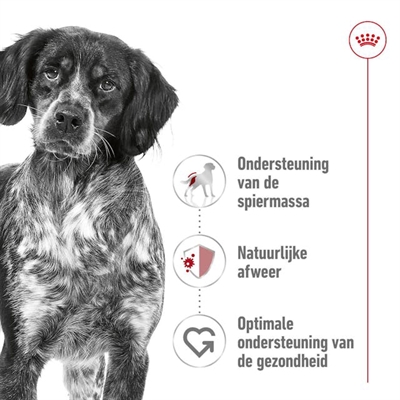 Canin Medium Adult 15 Kg