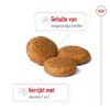 Canin Medium Adult 4 Kg