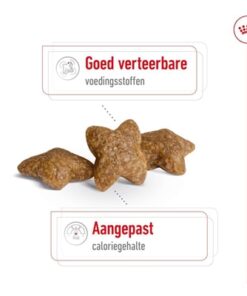 Canin Mini Adult 2 Kg