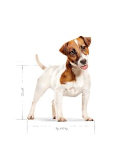 Canin Mini Adult 4 Kg