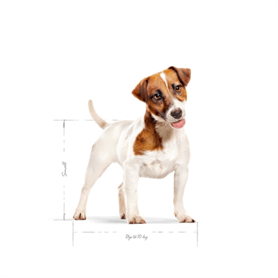 Canin Mini Adult 4 Kg