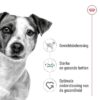 Canin Mini Adult 8 Kg