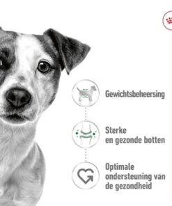 Canin Mini Adult 8 Kg