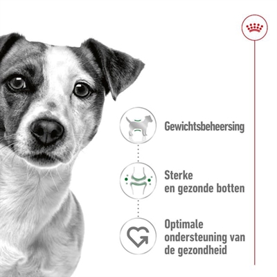 Canin Mini Adult 8 Kg