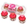 Barking Bakery I Woof You Valentine Mini Iced Woofins Trio Assorti