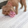 Hol-Ee Roller Trend-Ee Roze 11,5X11,5X11,5 Cm