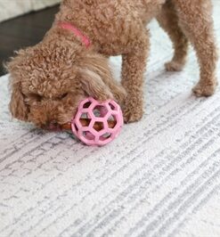 Hol-Ee Roller Trend-Ee Roze 11,5X11,5X11,5 Cm