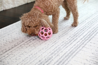 Hol-Ee Roller Trend-Ee Roze 11,5X11,5X11,5 Cm