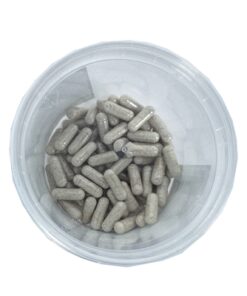 Darmflora Opbouw / Verbeterend Capsules 60 St