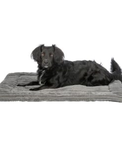 Ligmat Lonni Ribfluweel Grijs 90X65 Cm