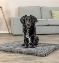 Ligmat Lonni Ribfluweel Grijs 110X75 Cm