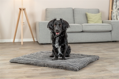 Ligmat Lonni Ribfluweel Grijs 110X75 Cm