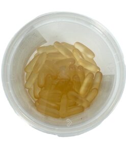 Zalmolie Capsules 60 Stuks