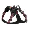 Bvk Hondentuig Red Xl 45-77,5X81-107 Cm