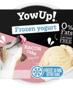 Frozen Yoghurt Bacon Cake 110 Gr