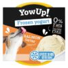 Frozen Yoghurt Salmon Tartar 110 Gr