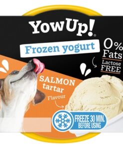 Frozen Yoghurt Salmon Tartar 110 Gr