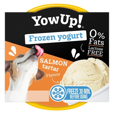 Frozen Yoghurt Salmon Tartar 110 Gr