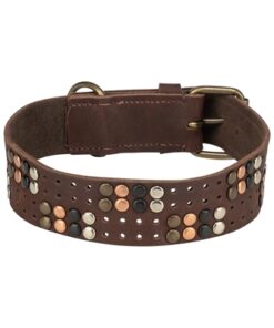 Halsband Hond Rivet Rustic Vetleer Donkerbruin S-M 34-40X3 Cm