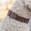 Halsband Hond Rivet Rustic Vetleer Donkerbruin M 38-47 Cmx4 Cm