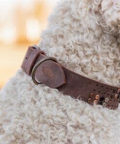 Halsband Hond Rivet Rustic Vetleer Donkerbruin M 38-47 Cmx4 Cm