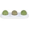 Speelballen Matatabi En Catnip Met Houder 5 Cm