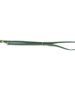 Hondenriem Pure Verstelbaar Leer Saliegroen L-Xl 200X2,5 Cm