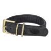 Halsband Hond Pure Leer Zwart L-Xl 52-63X4 Cm