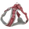 Hondentuig Premium Flexmesh Brede Borst Sangria M 58-80X2 Cm