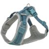 Hondentuig Premium Flexmesh Brede Borst Petrol L 63-92X2,5 Cm