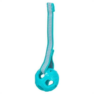 Honingraat Bal Aan Touw Tpe 6X23 Cm 3 St
