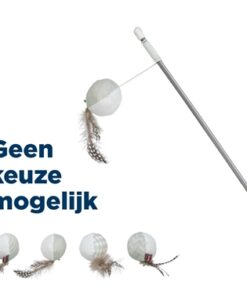 Kattenhengel Bal Met Veren Met Catnip 46 Cm