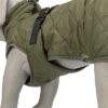 Hondenjas Minot Olijfgroen 40 Cm