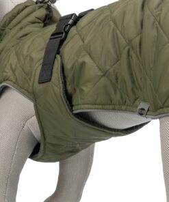 Hondenjas Minot Olijfgroen 40 Cm