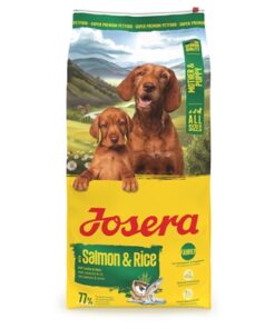 All Sizes Mother/Puppy Salmon / Rice 12,5 Kg