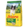 All Sizes Adult Lamb / Rice 3 Kg