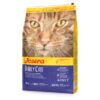 Dailycat 10 Kg