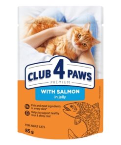 4 Paws Premium Adult Pouch Zalm In Gelei 24X85 Gr